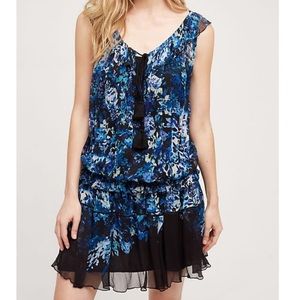 NWT Anthropologie TRYB Drop Waist Floral Dress